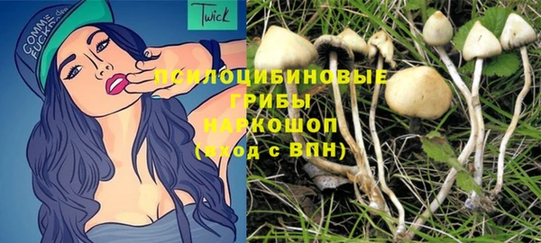 шишки Наволоки