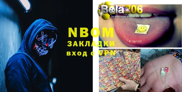 индика Михайлов