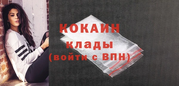 шишки Наволоки